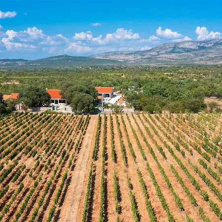 Pet Friendly In With Sauna *