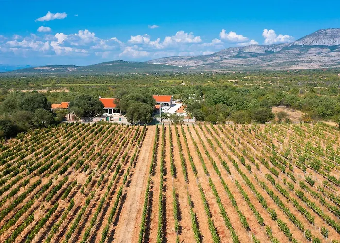 Pet Friendly In With Sauna *