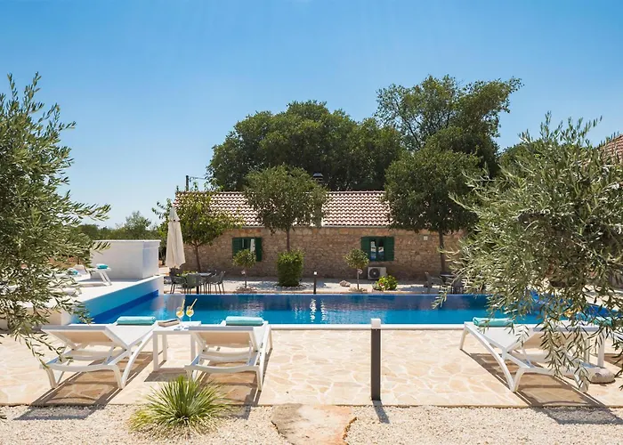 Pet Friendly In With Sauna